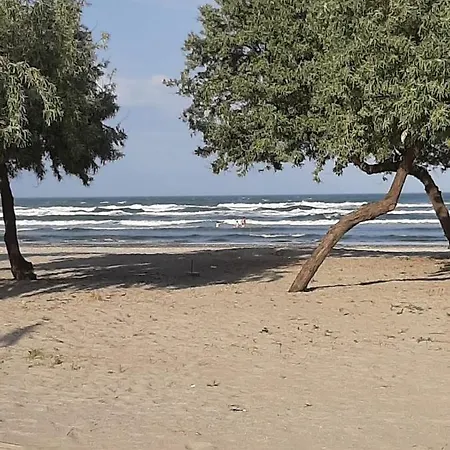 Black Seashore